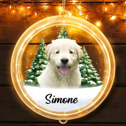 Custom Photo Pet Face Christmas Gift For Dog Cat Lovers - Personalized LED Pendant Light