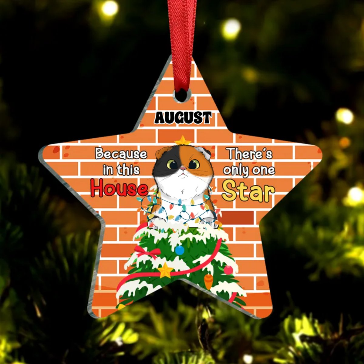 Cat Lovers - Because In This House, There's Only One Star - Personalized Ornament - Makezbright Gifts