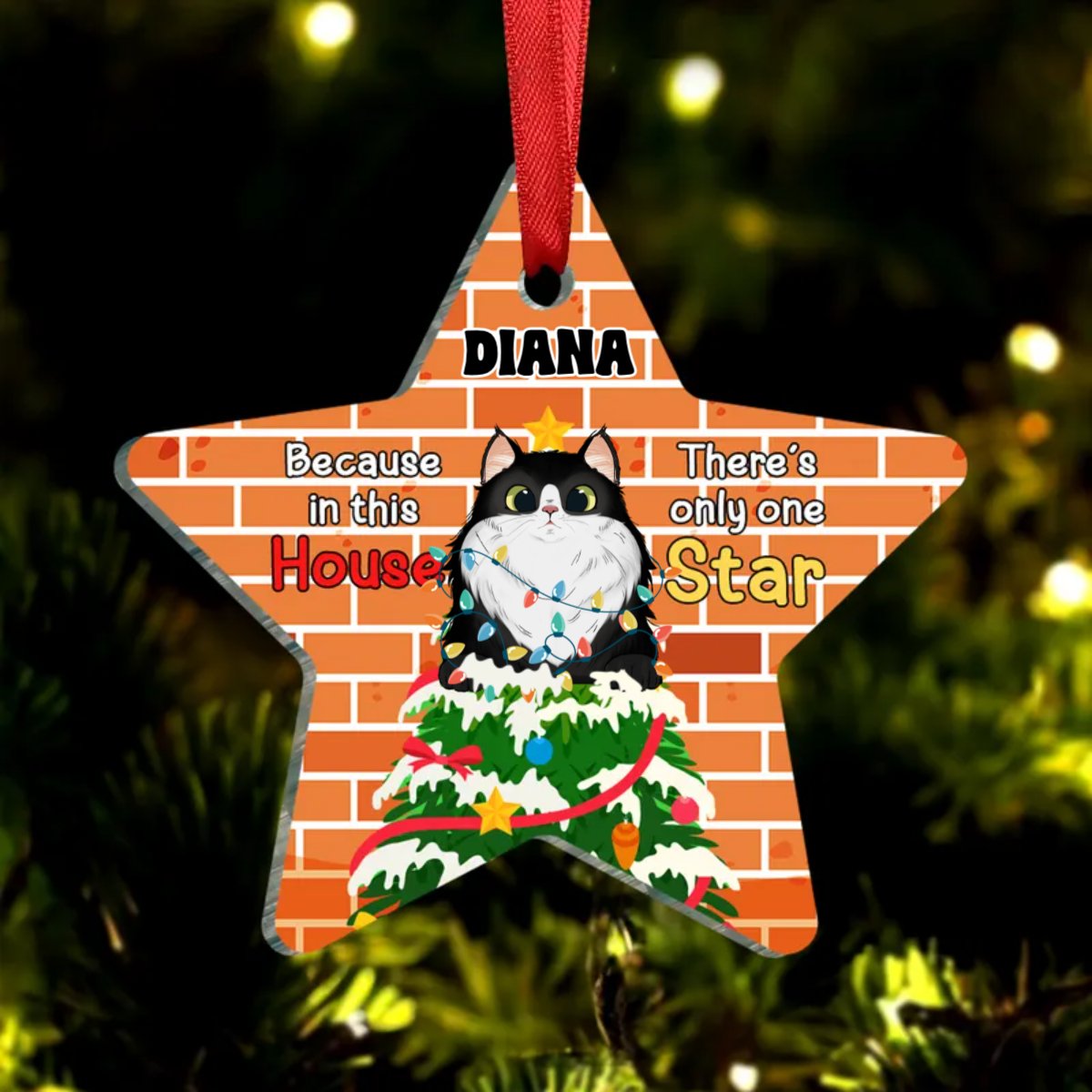 Cat Lovers - Because In This House, There's Only One Star - Personalized Ornament - Makezbright Gifts