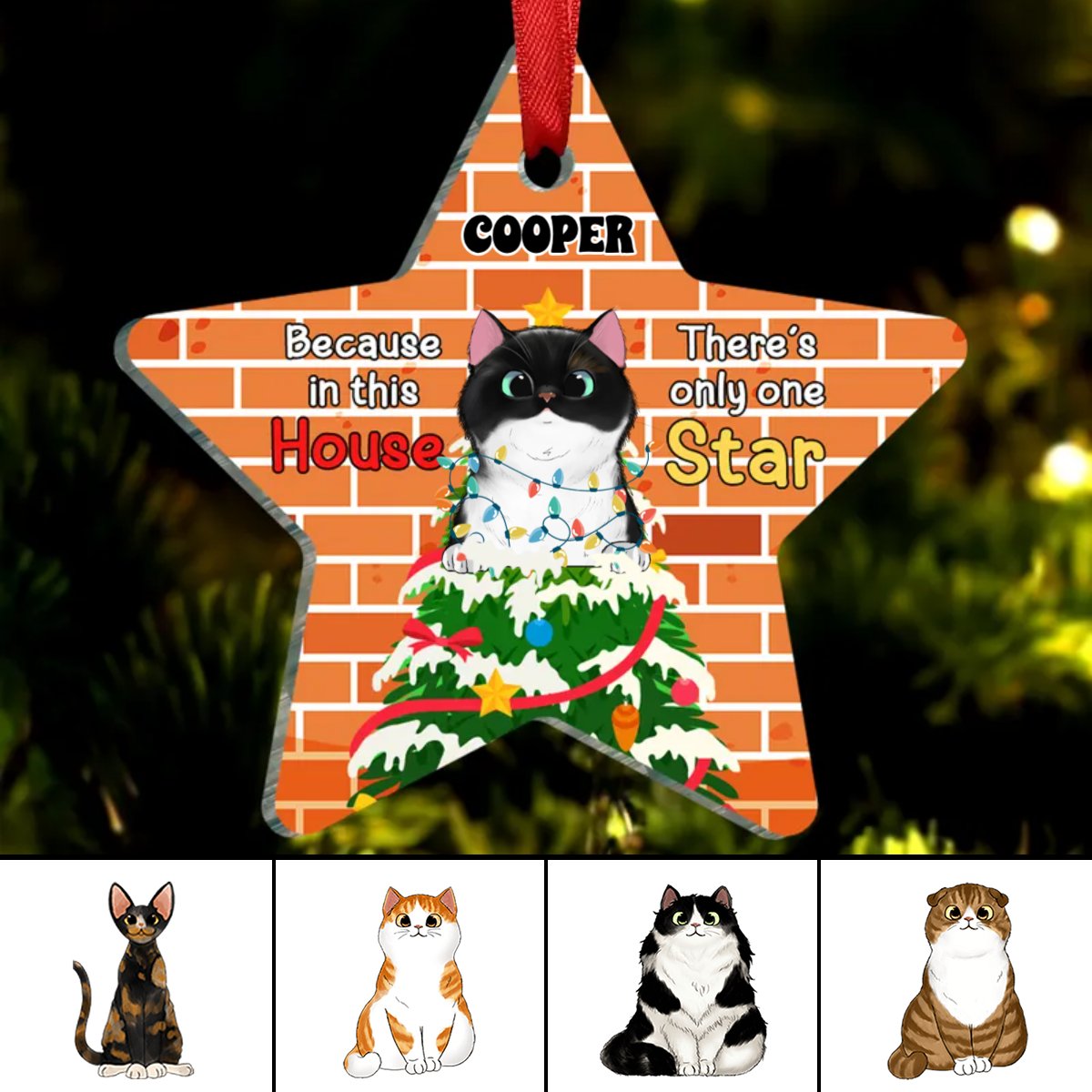 Cat Lovers - Because In This House, There's Only One Star - Personalized Ornament - Makezbright Gifts