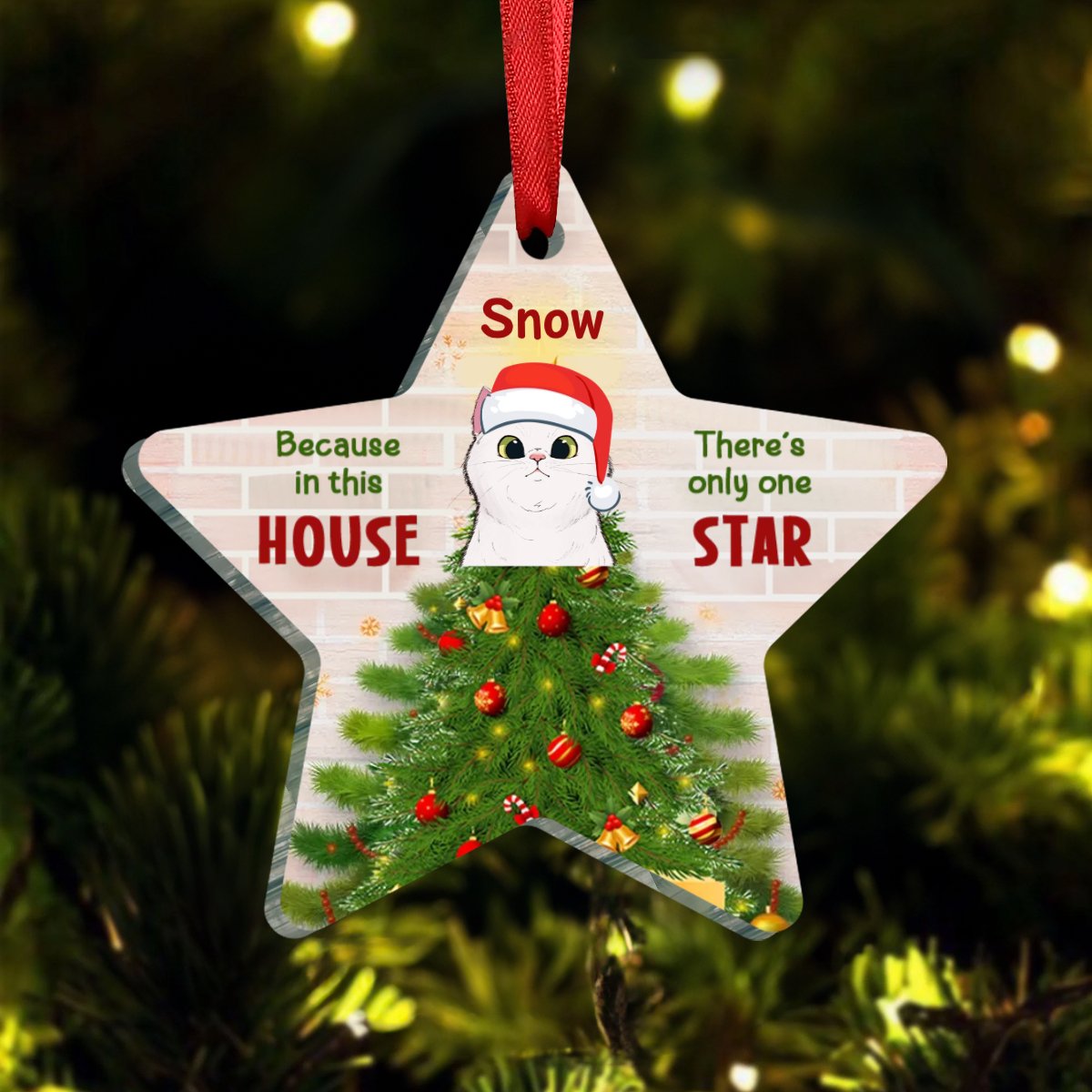 Cat Lovers - Because In This House There's Only One Star - Personalized Star Ornament - Makezbright Gifts