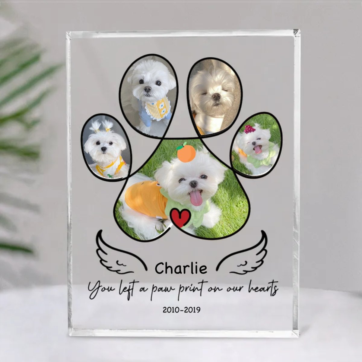 Pet Lovers - Custom Pet Photo Memorial - Personalized Acrylic Plaque - Makezbright Gifts