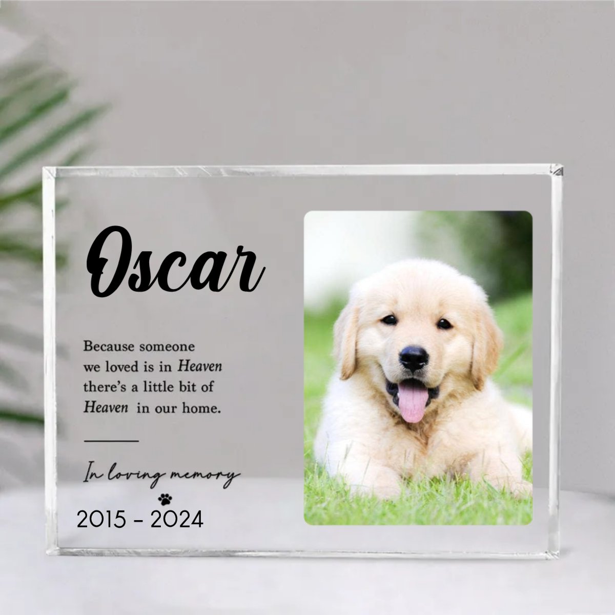 Pet Lovers - Custom Photo Because Someone We Loved In Heaven - Personalized Acrylic Plaque - Makezbright Gifts